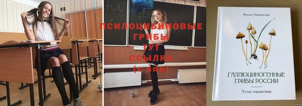 MESCALINE Надым