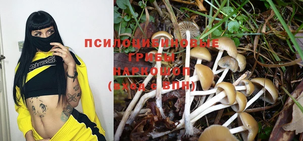 ПСИЛОЦИБИНОВЫЕ ГРИБЫ Навашино