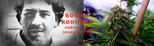 стаф Михайлов