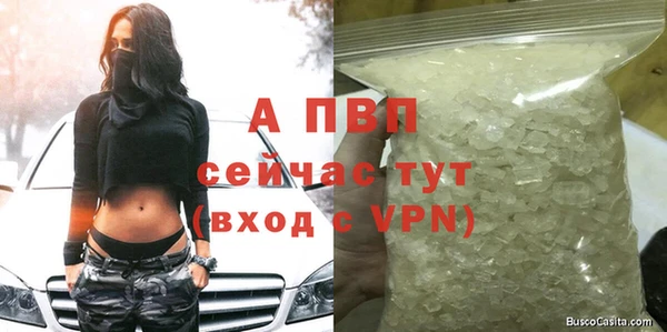 стаф Михайлов