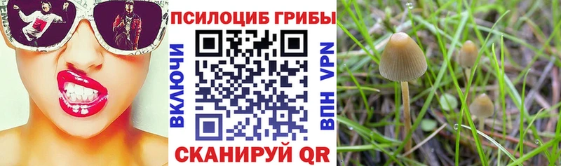 Галлюциногенные грибы мухоморы ссылка на мегу как зайти Ряжск